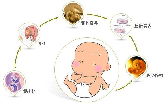 3代试管全部明细费用石家庄